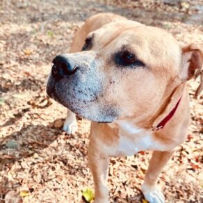 Fb24a1fd8c253915bb956eb6d3058357