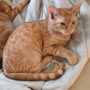 Fb92a1fcf39d0fa4fc4b84e095da645c