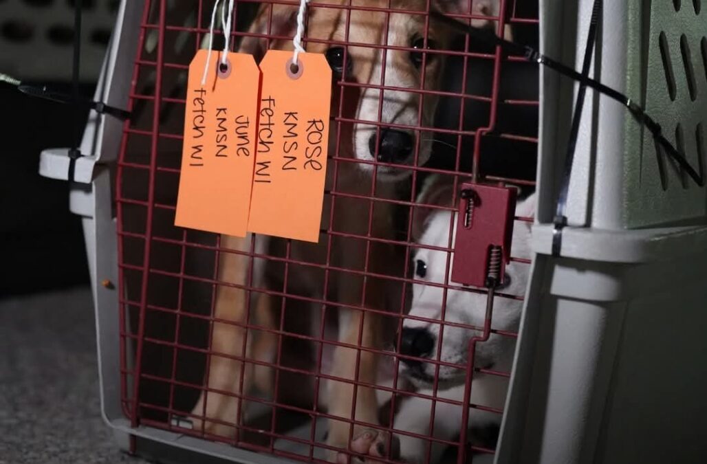 FB IMG 1754357117678