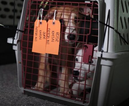 FB IMG 1754357117678