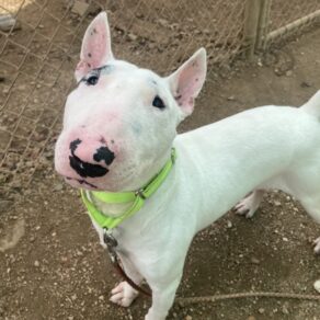 Fc7cda67528e34ab3ca2706024b664f2