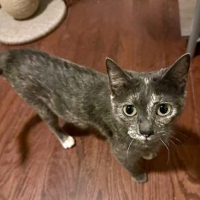 Fd5d7495700011f269d3de97b12fd7d9