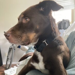 Fe962969ca05c7ffbe6d911a2519ba6b