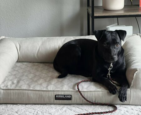 Image 20230831 164815 030