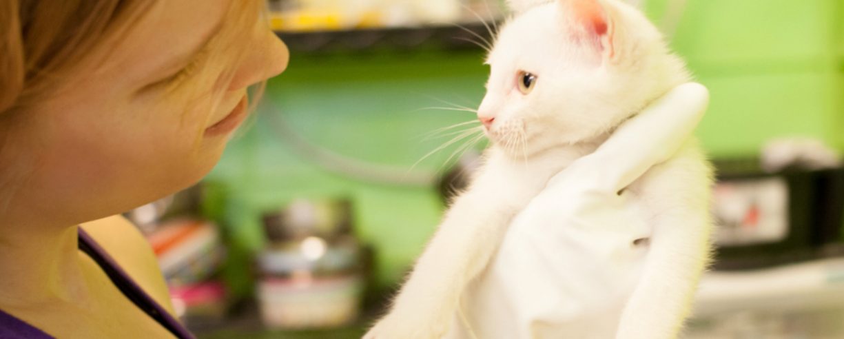 Medical Chipins Banner