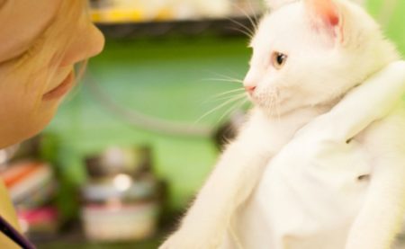 Medical chipins banner