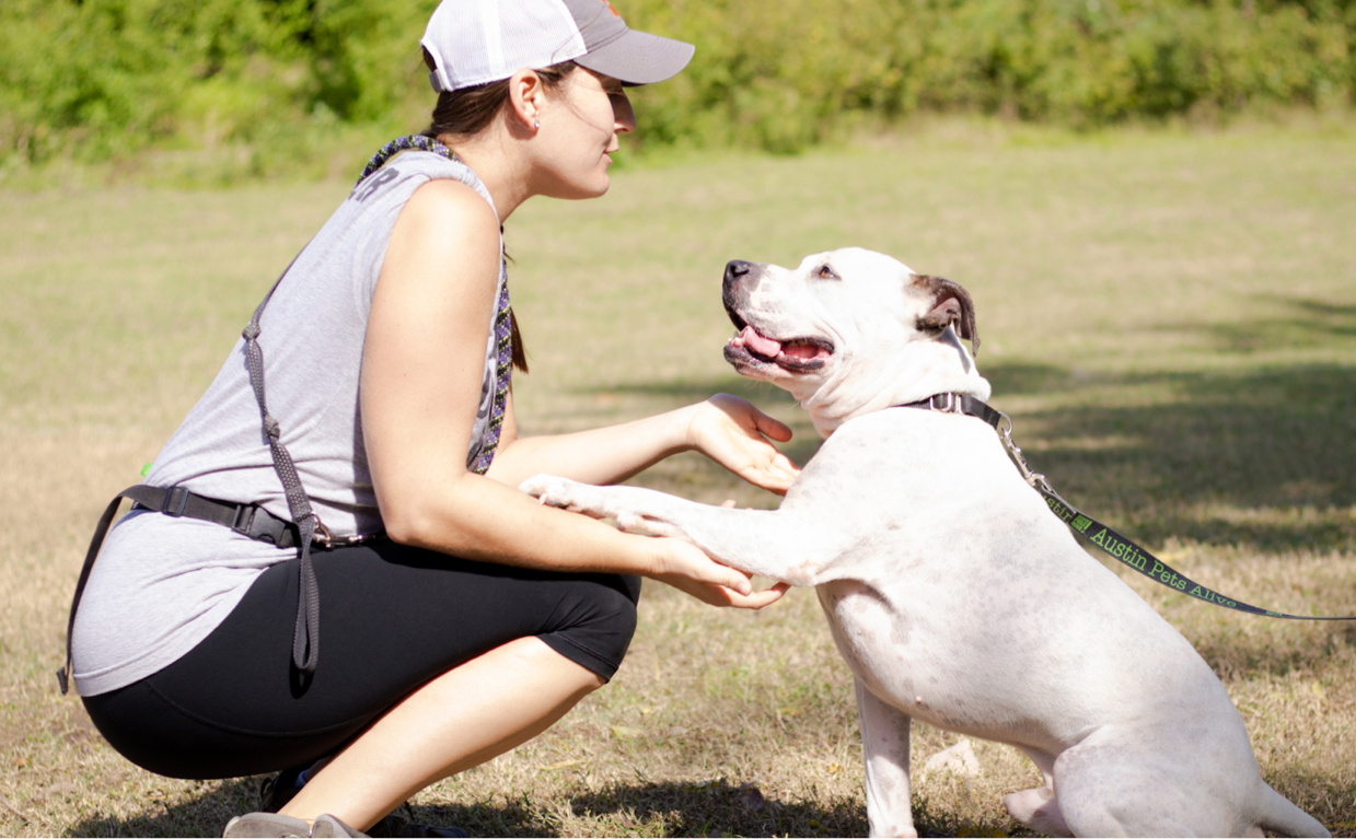 Programslanding Banner