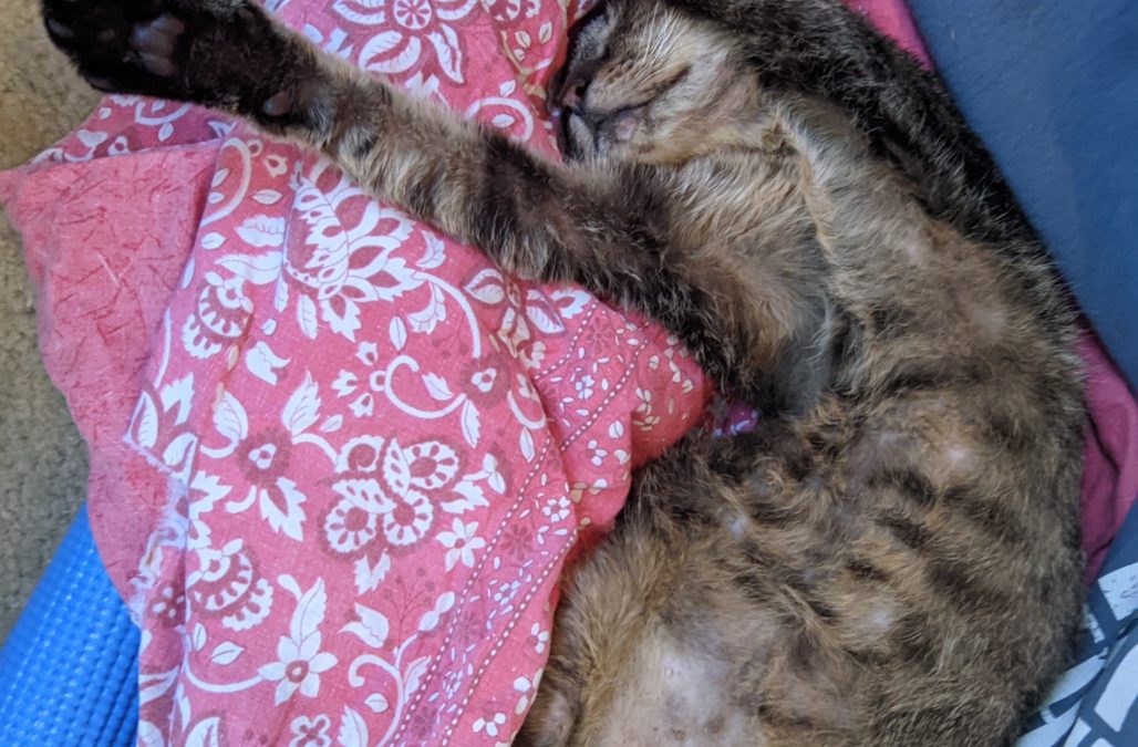 PXL 20211220 194911641 MP