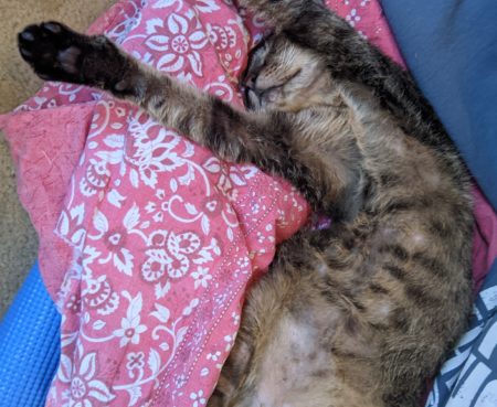 PXL 20211220 194911641 MP