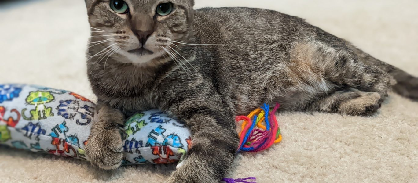 PXL 20220131 152414117 PORTRAIT