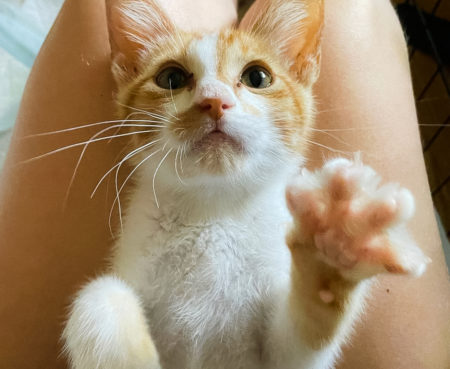 Screen Shot 2021 11 17 at 5 19 57 PM