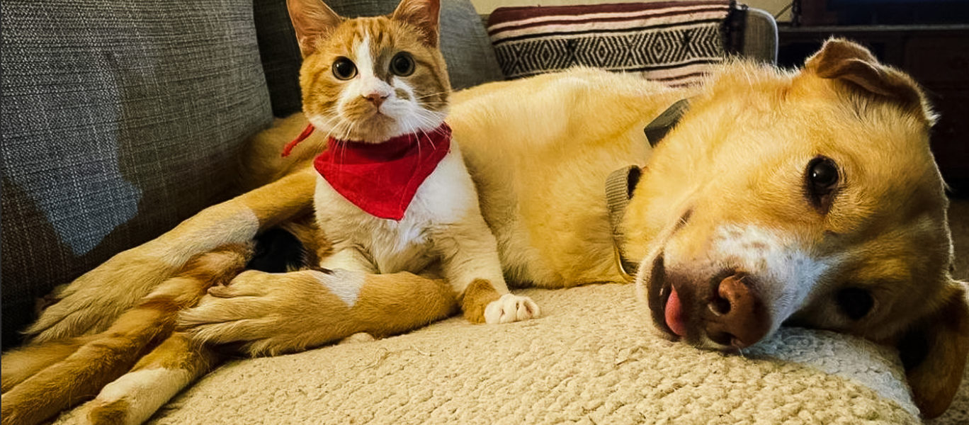 Screen Shot 2021 11 17 at 5 23 35 PM