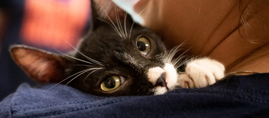 Shopforacause Banner