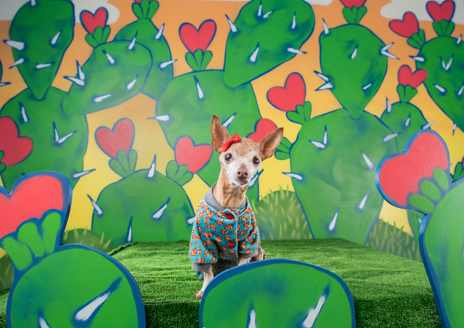 Sweet barks promo 42 2