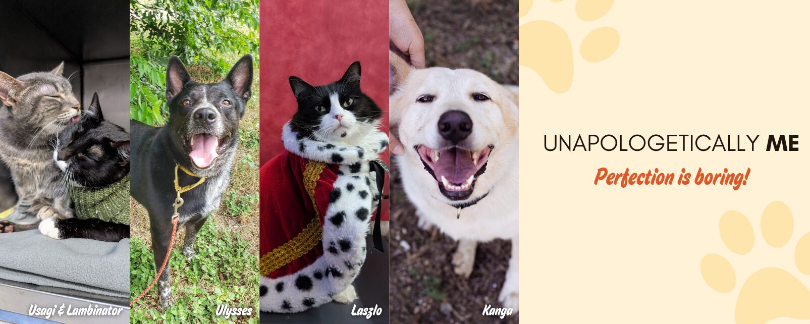 Unapologetically Me Web Banner