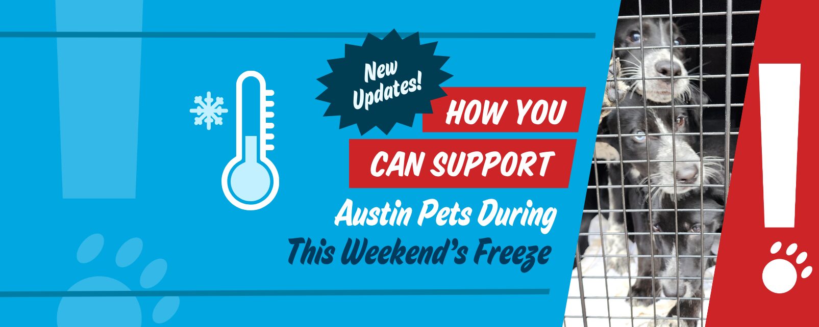 Urgent cold weather plea 1605 642 px 1