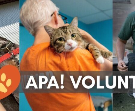 Volunteer Week Blog Banner 1 png