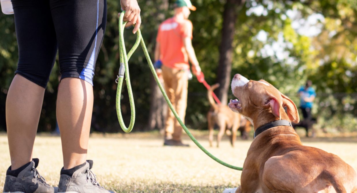 Volunteer Group Youth Banner