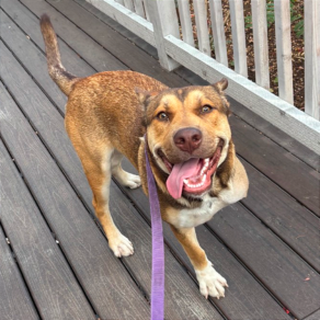 112243b9d647f108e78bbfbb2269dda8