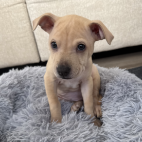 1360b7eff18b529181db4dcf7e928ad9