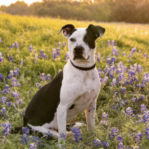 24804fdf5c027486af3a382d61490759