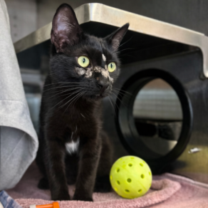 42566f0f10187b1dbfeac85d3876a6af