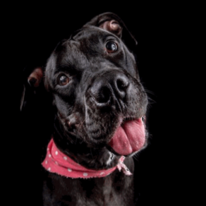 53c088f86c07ec5269730ca877872a9e