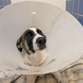 5c4dd467cce72df36b9673a51857dc1c