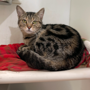 6abe564555d87ade2dd5590582110a35