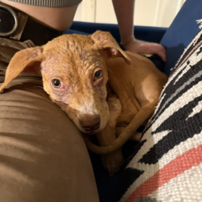 8765868b8891b2bc45135a09a393de7f