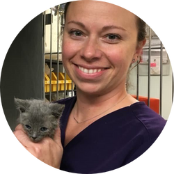 Alexis Bardzinski Headshot