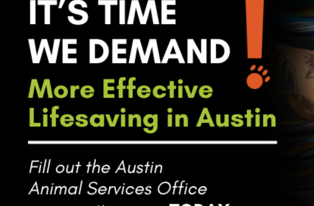 ASO Survey Thumbnail