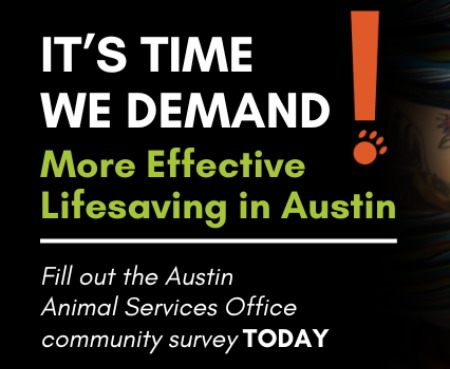 ASO Survey Thumbnail