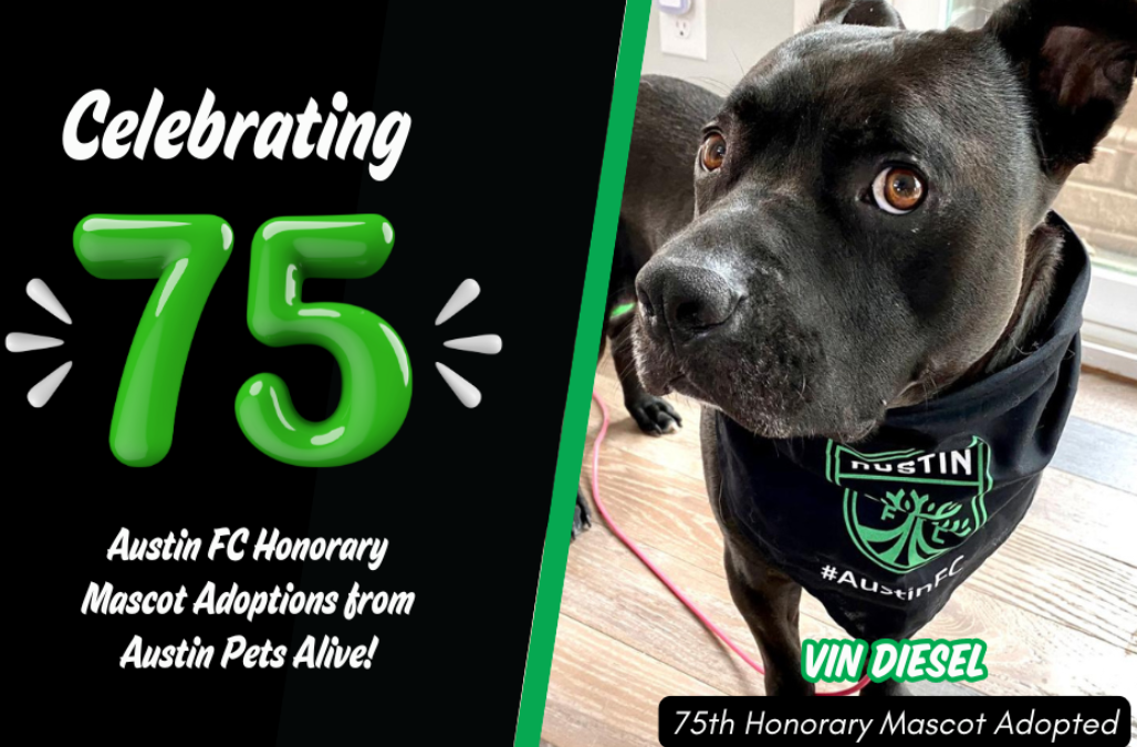 Austin FC 75 Blog Thumbnail