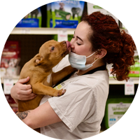 Benefits of Fostering