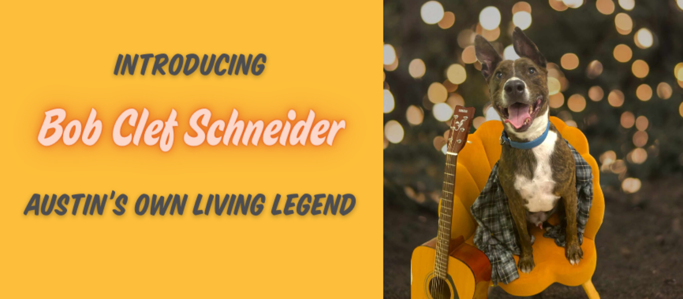 Bob Clef Schneider