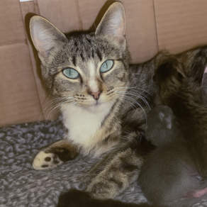 Ca192f0ca6b499e649b05fcbef0db9e6