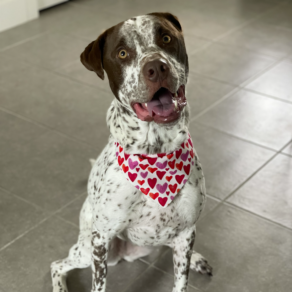 Cad962e7bbed774f3a5f578437784698