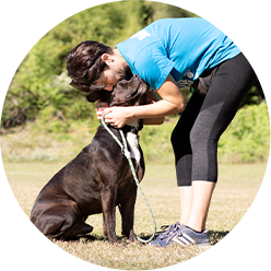 Connection Volunteer Icon