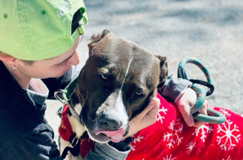 Courtesy rehoming listing