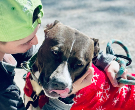 Courtesy rehoming listing