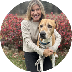 Elkie Leadership Board Headshots Website