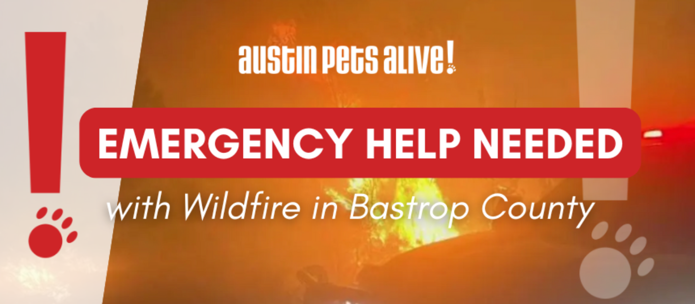 Emergency Bastrop Fire blog banner