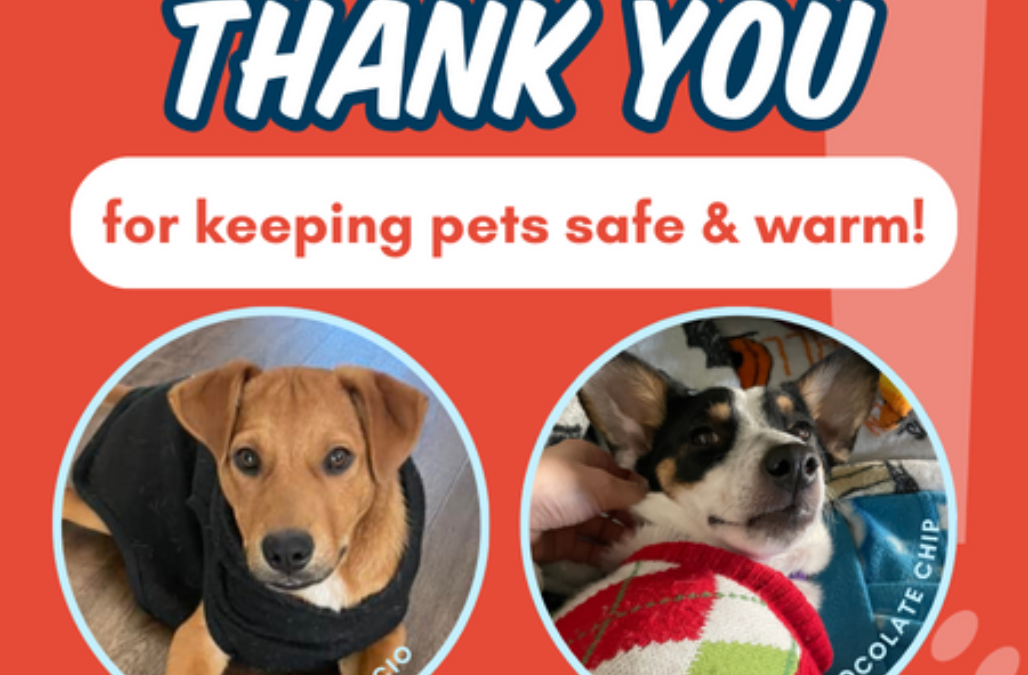 EMERGENCY RESPONSE FREEZING TEMP BLOG THUMBNAIL4