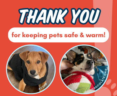 EMERGENCY RESPONSE FREEZING TEMP BLOG THUMBNAIL4