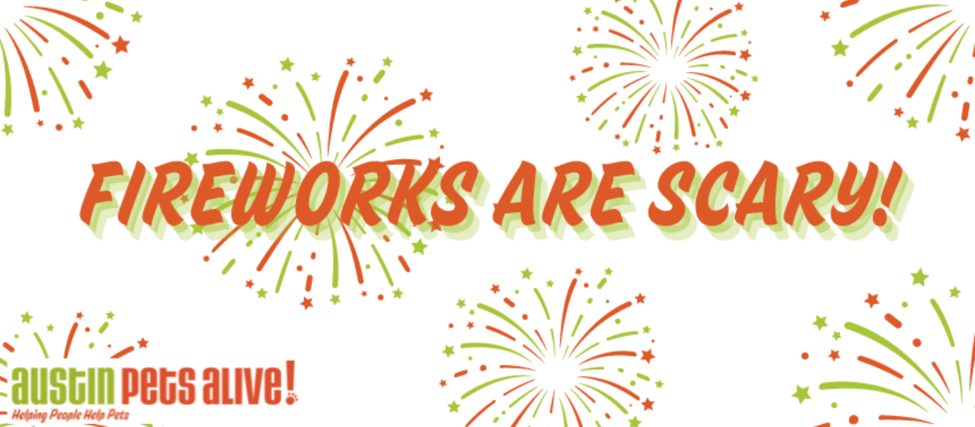 Fireworks Promo Blog Banner