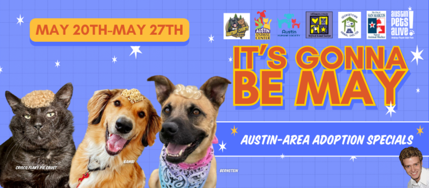 Its gonna be may blog banner1