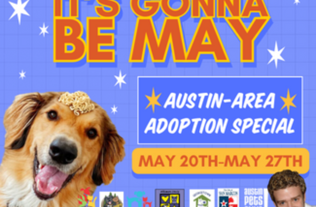 Its gonna be may blog thumbnail