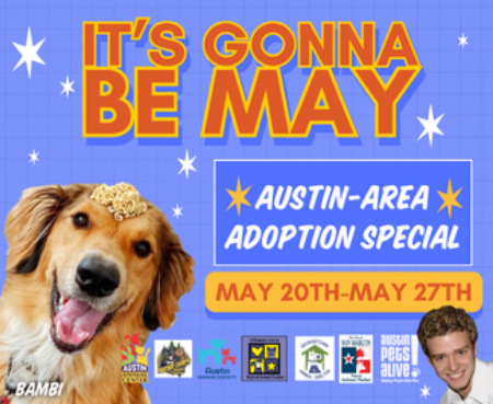 Its gonna be may blog thumbnail