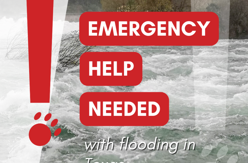 Kerville Emergency Social Social Media1